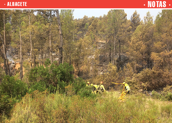 El Gobierno de Castilla-La Mancha confirma la perimetración total del incendio de Yeste tras seis días de duro trabajo