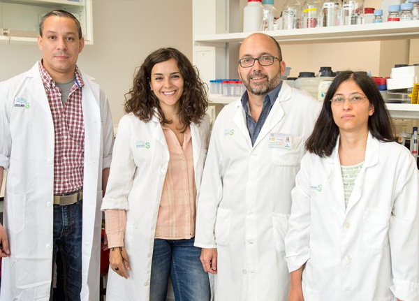 Científicos del Hospital Nacional de Parapléjicos descubren la primera molécula que inhibe la deposición de mielina en los axones