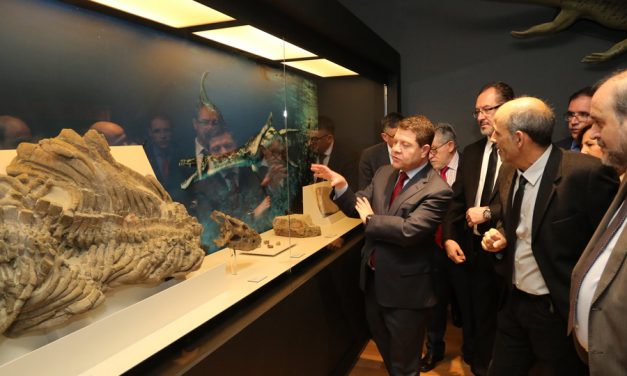El Museo Paleontológico de Cuenca se convierte, en espacio de referencia a escala nacional y europea