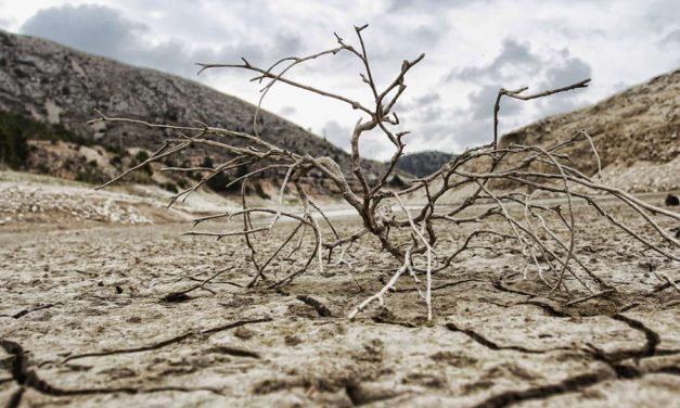 El Gobierno de Castilla-La Mancha creará una Comisión Regional de la Sequía para tener una posición “unitaria” en torno al agua