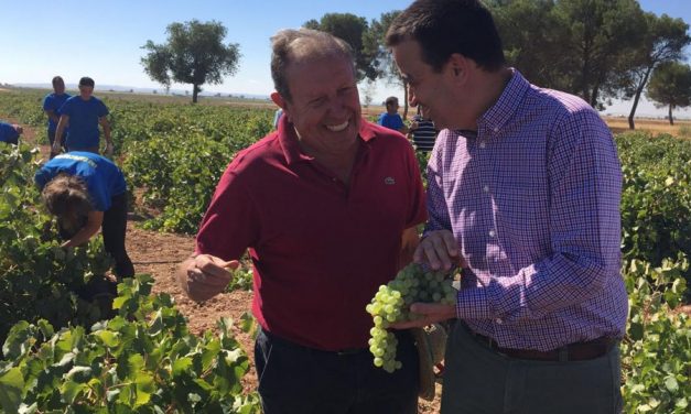 El gobierno regional anuncia más de 31 mil euros para la reconversión de 15.000 hectáreas de viñedo