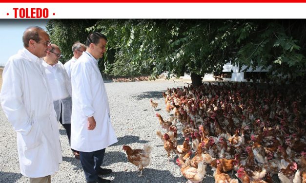 El Gobierno de Castilla-La Mancha apadrinará la fusión el 19 de julio de las dos asociaciones de avicultura de puesta existentes en la región