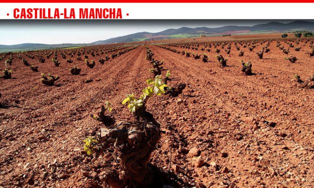 Todos los nuevos jóvenes viticultores de Castilla-La Mancha que han solicitado superficie de viñedo por primera vez recibirán el 100 por cien de la misma