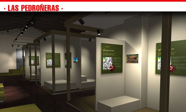 Así será el Museo del Ajo de Las Pedroñeras