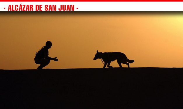 El Ayuntamiento de Alcázar de San Juan investiga los casos de intoxicación a perros confirmados por  clínicas veterinarias