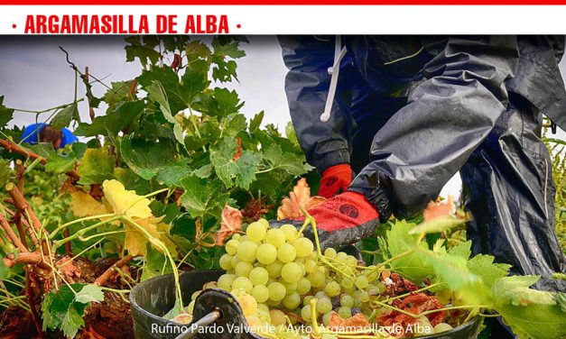 La concejalía de Festejos convoca un concurso fotográfico sobre la vendimia en Argamasilla de Alba