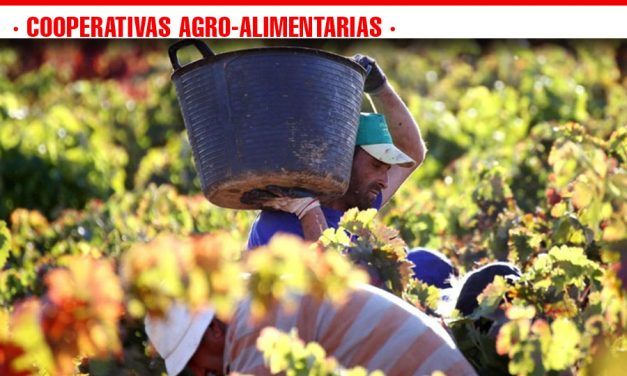 Cooperativas Agro-alimentarias Castilla-La Mancha estima un aumento del 25% de la producción en esta vendimia