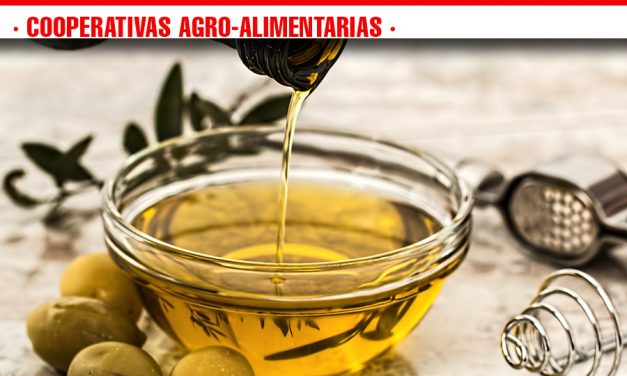 Cooperativas Agro-alimentarias Castilla-La Mancha estima un aumento de producción de aceite en un 40% respecto a la campaña pasada