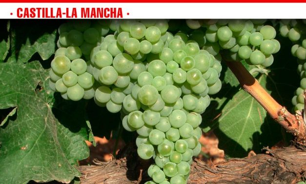 Castilla-La Mancha pone a disposición de los viticultores una nueva convocatoria de ayudas a la reestructuración del viñedo abierta hasta el 28 de febrero