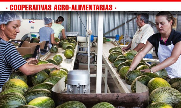 El sector cooperativo de melón y sandía en Castilla-La Mancha fija sus retos para 2019