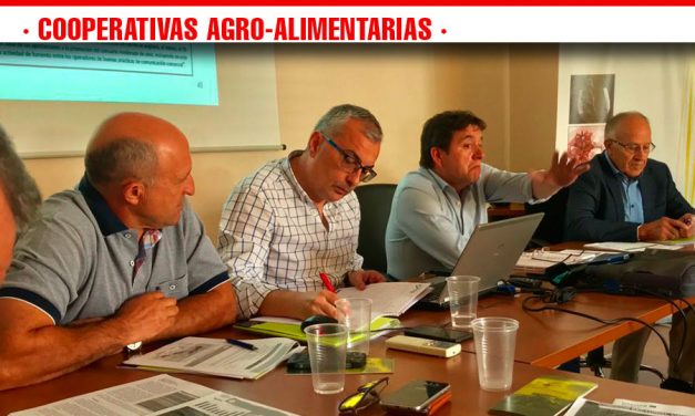 Cooperativas Agro-alimentarias Castilla-La Mancha propondrá una medida de regulación en el sector vitivinícola