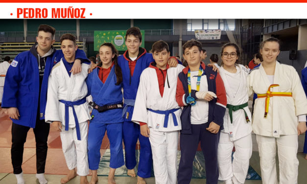 Grandes resultados de las Escuelas de Judo de Campo de Criptana y Pedro Muñoz en la fase de acceso al Campeonato de España