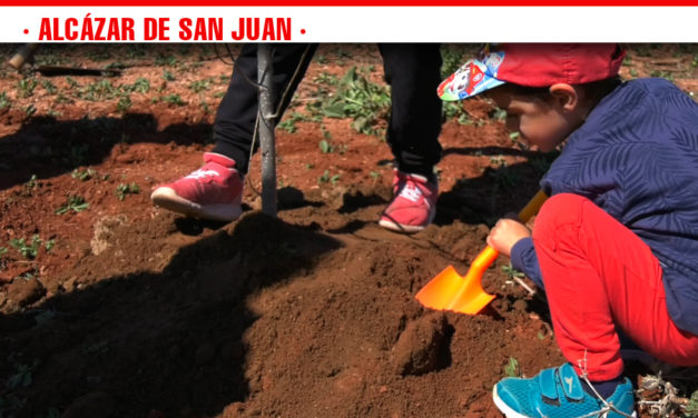 Familias alcazareñas comienzan con la plantación de los árboles que llevarán el nombre de los recién nacidos en Alcázar de San Juan