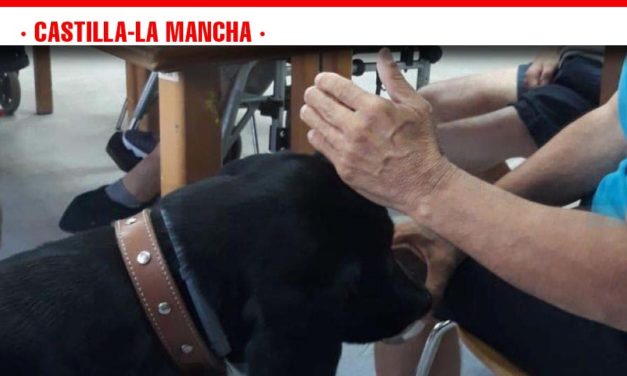El Gobierno de Castilla-La Mancha extiende la terapia asistida con perros al ámbito de la discapacidad