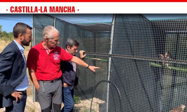 El Gobierno de Castilla-La Mancha respalda la recuperación de aves rapaces en la región