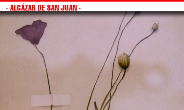 Sensibilidad y vulnerabilidad se funden en la muestra conjunta de Pedro Quesada y Laura Ríos que se expone en la Galería de Arte Marmurán hasta el 10 de diciembre