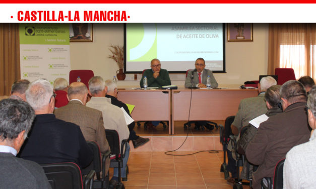Cooperativas Agro-alimentarias estima una producción de aceite en Castilla-La Mancha de 85.000-90.000 toneladas
