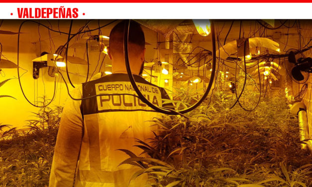 La Policía Nacional desmantela en Valdepeñas un cultivo de «indoor» de marihuana