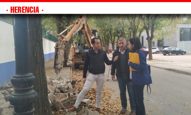 Comienzan las obras de renovación del acerado derecho en la Avenida de Tierno Galván