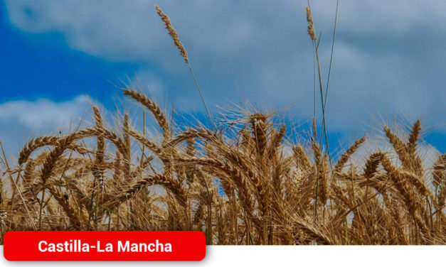Castilla-La Mancha amplía en 400.000 euros el crédito de la convocatoria de seguros agrarios, alcanzándose ya los 5 millones de euros
