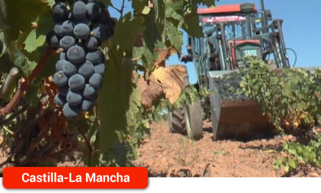La Región pide unidad del sector para lanzar un mensaje positivo a los mercados reivindicando su peso como la región vitivinícola más importante del mundo