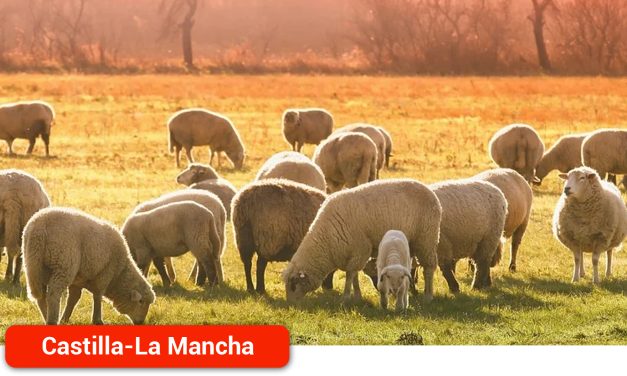 UPA denuncia ante la AICA irregularidades con los ganaderos de ovino y caprino de leche en la Región