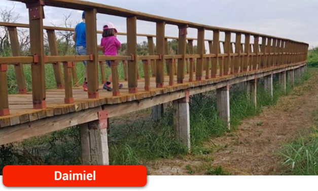 El Patronato del Parque Nacional de Las Tablas de Daimiel aprueba un proyecto del CSIC para evitar el depósito de sedimentos