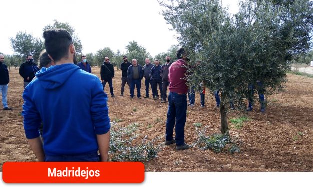 67 agricultores participaron en los cursos de formación en torno al cultivo del pistacho y del olivo
