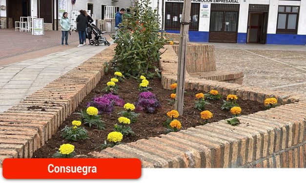 El Ayuntamiento refuerza el embellecimiento de la Plaza de España con nuevas remesas de plantas y flores de temporada para esta Semana Santa