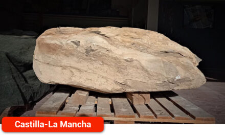 Un bloque de caliza con restos óseos de un posible dinosaurio del Cretácico Inferior del yacimiento de Buenache de la Sierra llega al MUPA