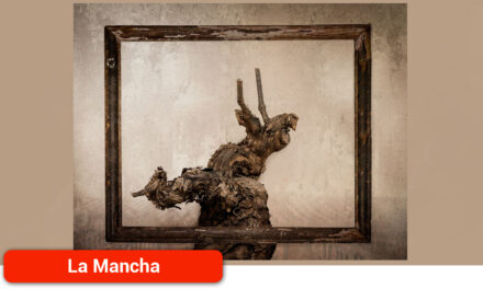 Nueva edición del Concurso Fotografía Digital ‘Vinos de La Mancha’ 2023