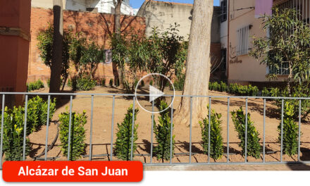 Mejora de jardines y nueva zona biosaludable en el Barrio de Goya