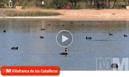 Las Lagunas de Villafranca, un humedal que merece la pena cuidar
