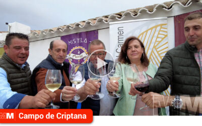 Los vinos de Vinícola del Carmen presentes en el AirénFest