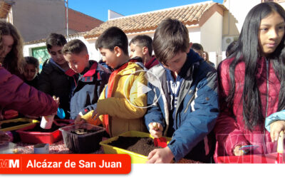 ‘Alcorques Verdes’ un proyecto para repoblar las calles de Alcázar de San Juan