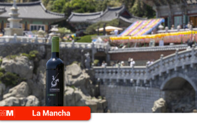Los vinos DO La Mancha terminan sus seminarios de promoción exterior Asia
