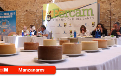 40 quesos manchegos «de muy buena calidad» buscan la medalla de oro de Fercam 2024